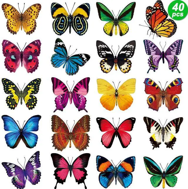 Main image of 40 Pcs Butterfly Window Stickers Clings Bird Strike Alert Decals | 40 Butterfly Glass Decals, Bird Collision Prevention, Doors & Sliding Glass, Static Cling No Glue