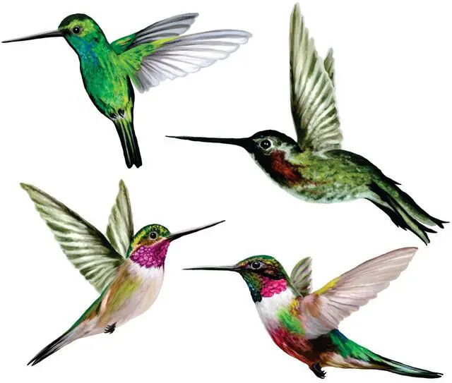 Main image of 4-Pack Hummingbird Bird Strike Prevention Window Clings | Double-sided printing, Reusable static-cling vinyl, Helps birds see glass, Made in USA
