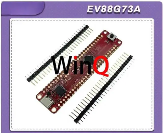Main image of EV88G73A dsPIC33CK64MC105 development board
