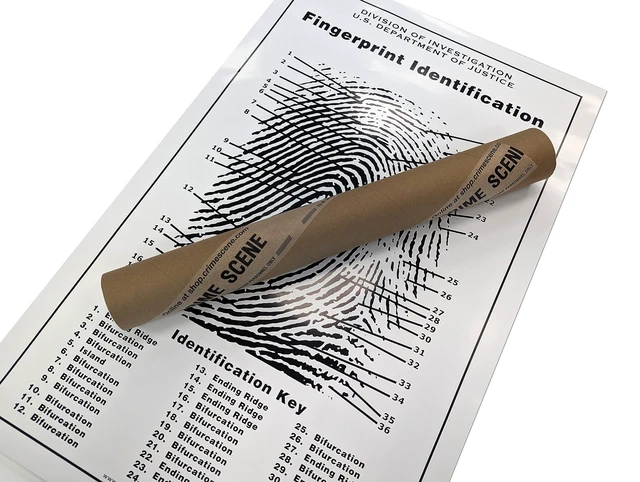 Alt view image 2 of 7 - Fingerprint Chart, Poster Size 24" by 36"