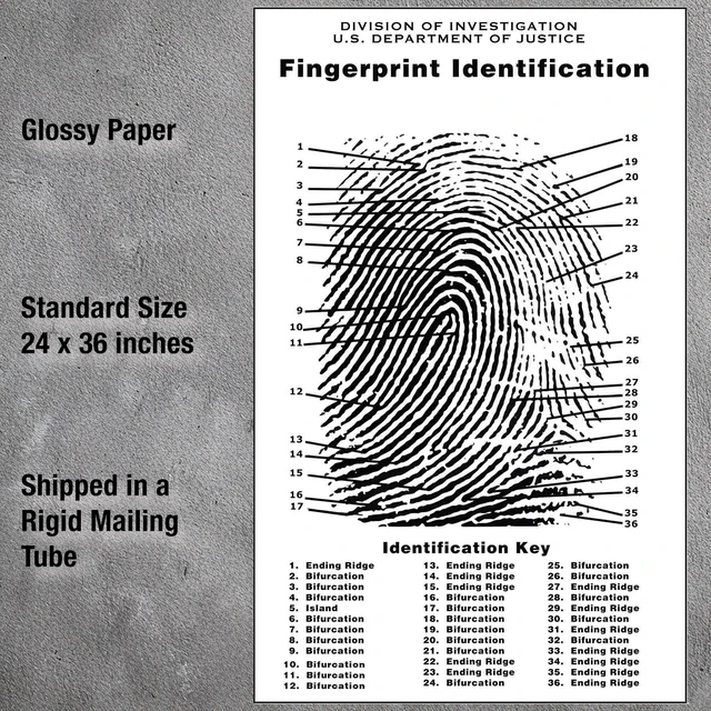 Alt view image 3 of 7 - Fingerprint Chart, Poster Size 24" by 36"