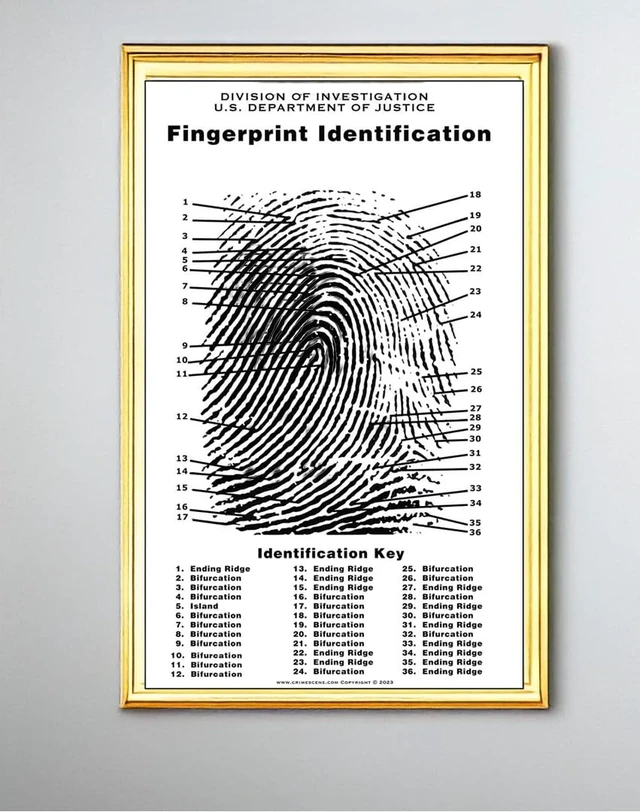 Alt view image 4 of 7 - Fingerprint Chart, Poster Size 24" by 36"
