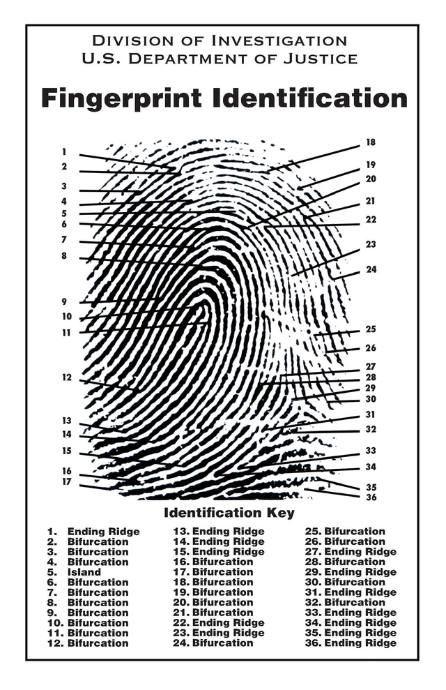 Alt view image 6 of 7 - Fingerprint Chart, Poster Size 24" by 36"
