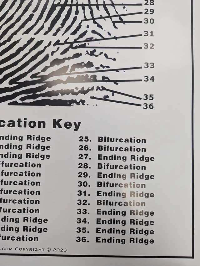 Alt view image 7 of 7 - Fingerprint Chart, Poster Size 24" by 36"