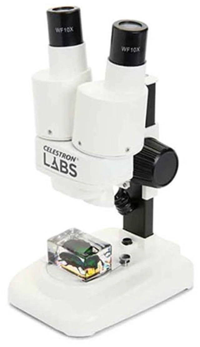 Main image of Labs S20 Straight Stereo Binocular Microscope for Large Specimen 20x Magnification, Straight Binocular Viewing, Top & Bottom LED Illumination, Three-Dimensional Views, Wide Working Distance