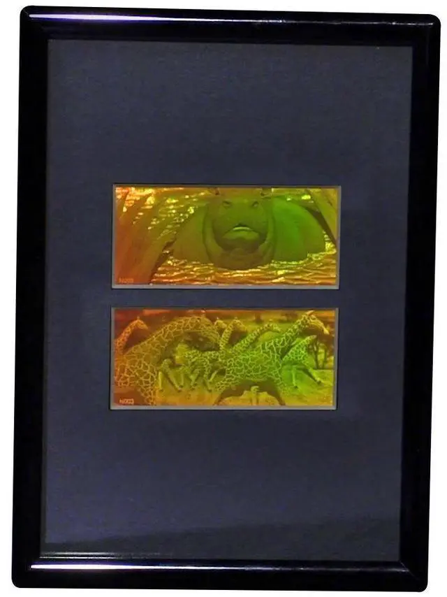 Main image of 3D Girafe/Hippo 2-Channel 2-Up Hologram Picture (Framed), Collectible Photopolymer Type Film