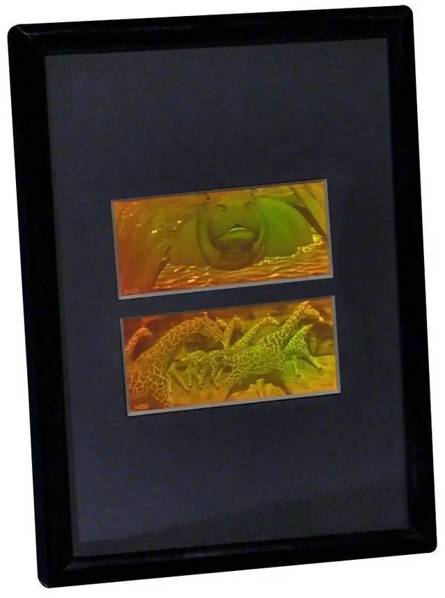 Alt view image 2 of 6 - 3D Girafe/Hippo 2-Channel 2-Up Hologram Picture (Framed), Collectible Photopolymer Type Film