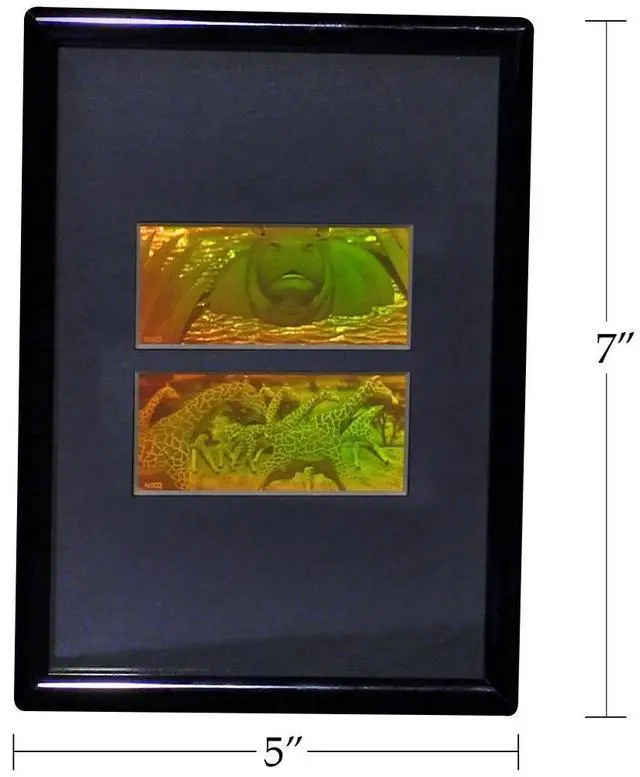 Alt view image 4 of 6 - 3D Girafe/Hippo 2-Channel 2-Up Hologram Picture (Framed), Collectible Photopolymer Type Film
