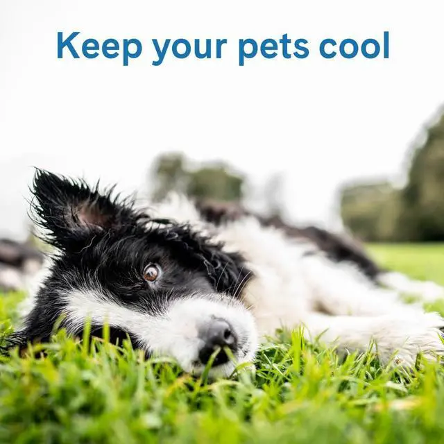 Alt view image 3 of 6 - Cool Pet Pad - Large, Blue - Self-Cooling, Pressure Activated Mat for Dogs & Cats from 46-80 lbs - Non-Toxic Gel, No Water Needed