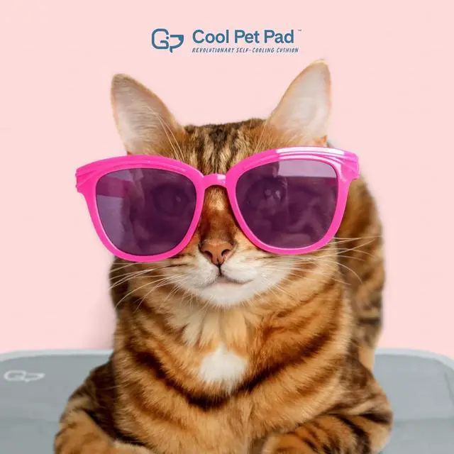 Alt view image 6 of 6 - Cool Pet Pad - Large, Sage Grey - Self-Cooling, Pressure Activated Mat for Dogs & Cats from 46-80 lbs - Non-Toxic Gel, No Water Needed