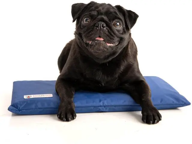 Main image of Hydro Cooling Mini Mat for Dogs Dog Cooling Mat & Cooling Pad for Hot Weather Triple Layer Ice & Water Cooling System (18" x 10.5")