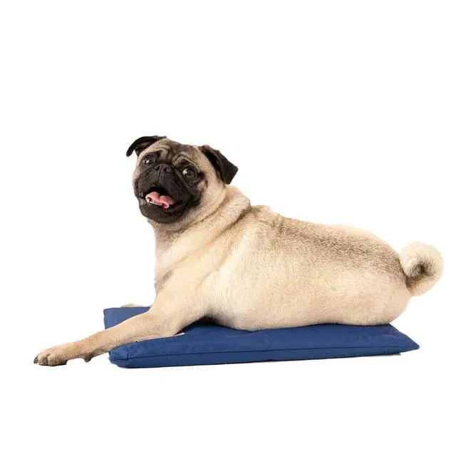 Alt view image 3 of 7 - Hydro Cooling Mini Mat for Dogs Dog Cooling Mat & Cooling Pad for Hot Weather Triple Layer Ice & Water Cooling System (18" x 10.5")