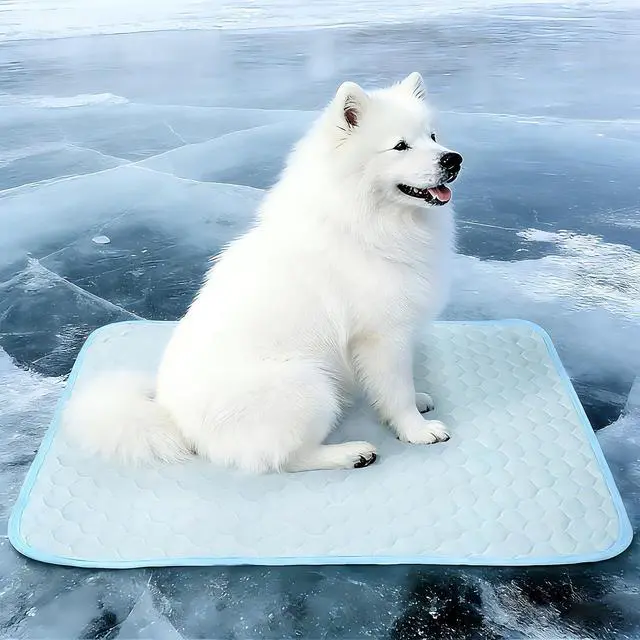 Main image of Dog Cooling Mat: Anti-Slip & Washable Cooling Pad for Medium Dogs, Indoor & Outdoor Pet Cooling Blanket for Sofa, Kennel, Crate and Floor
