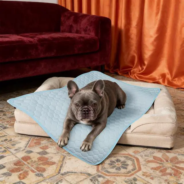 Alt view image 5 of 7 - Dog Cooling Mat: Anti-Slip & Washable Cooling Pad for Medium Dogs, Indoor & Outdoor Pet Cooling Blanket for Sofa, Kennel, Crate and Floor