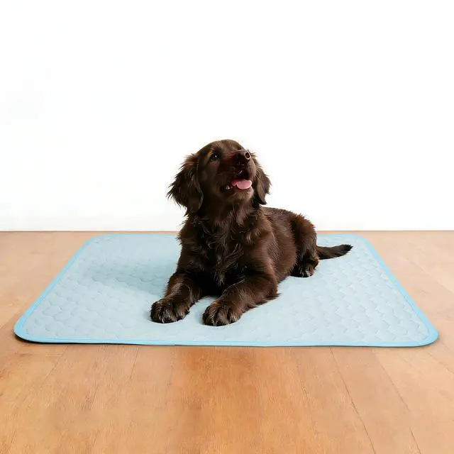 Alt view image 6 of 7 - Dog Cooling Mat: Anti-Slip & Washable Cooling Pad for Medium Dogs, Indoor & Outdoor Pet Cooling Blanket for Sofa, Kennel, Crate and Floor