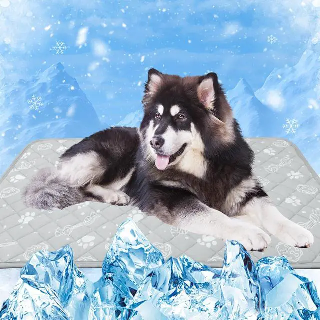 Main image of Self Dog Cooling Mat 39x 59,Color-Changing,Foldable and Washable,Grey