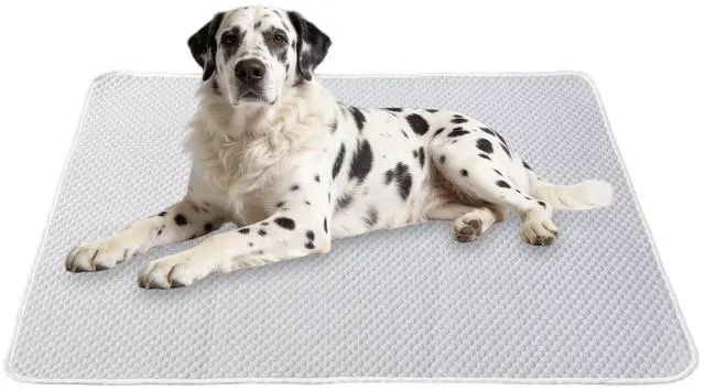 Main image of Dog Cooling Mat 60"x40" Super Large for Giant Dogs, XL