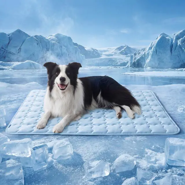 Main image of ArcticMax Cooling Mat for Large Dogs,Q-Max>0.5 Chill Fiber,41In