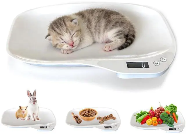 Main image of Small Animal Digital Scale, 14" x 10" Pet Weighing Scale Max 33lbs