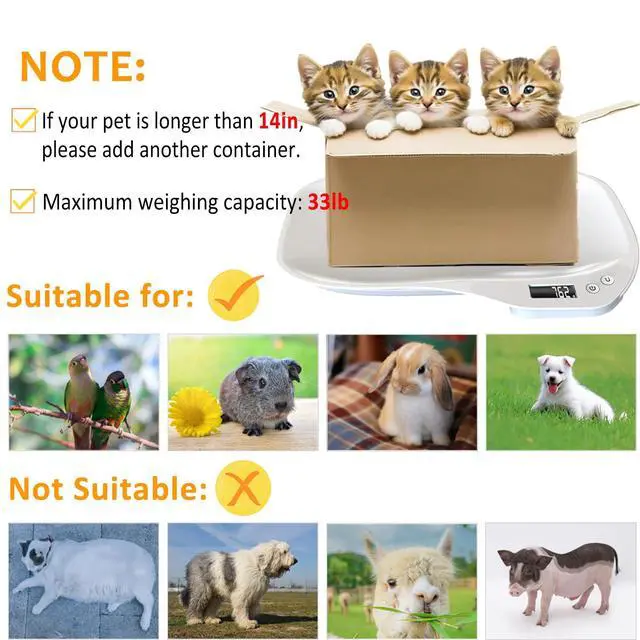 Alt view image 6 of 7 - Small Animal Digital Scale, 14" x 10" Pet Weighing Scale Max 33lbs