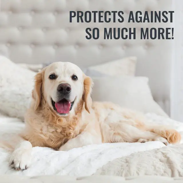 Alt view image 7 of 7 - Waterproof Mattress Protector and Mattress Cover, Soft, Encased Zippered Fit, Twin, Packaging may vary