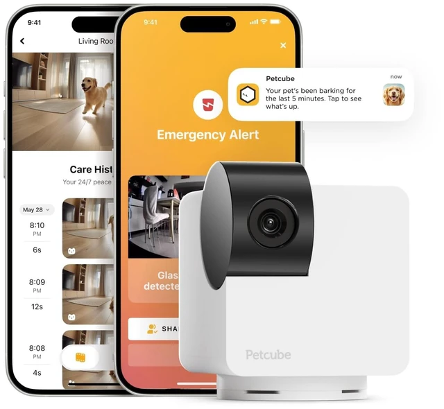Main image of Cam 360 Wi-Fi Pan-Tilt Pet Security Camera with App | No subscription required, 1080p HD video, 360° rotation, night vision, AI alerts for dog, cat & home monitoring