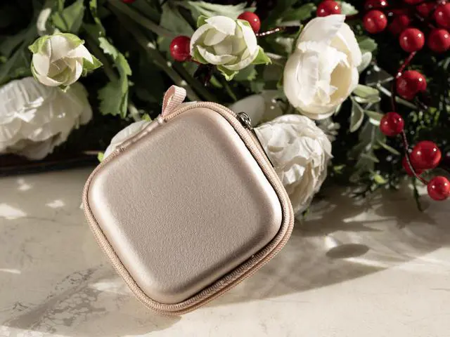 Alt view image 7 of 7 - Ginsco Mini-Portable Hard Shell Square Earbuds Case for Apple EarPods/Samsung Galaxy Wired/Wireless Earbuds, Cell Phone Accessories Organizer with Carabiner for Earphones