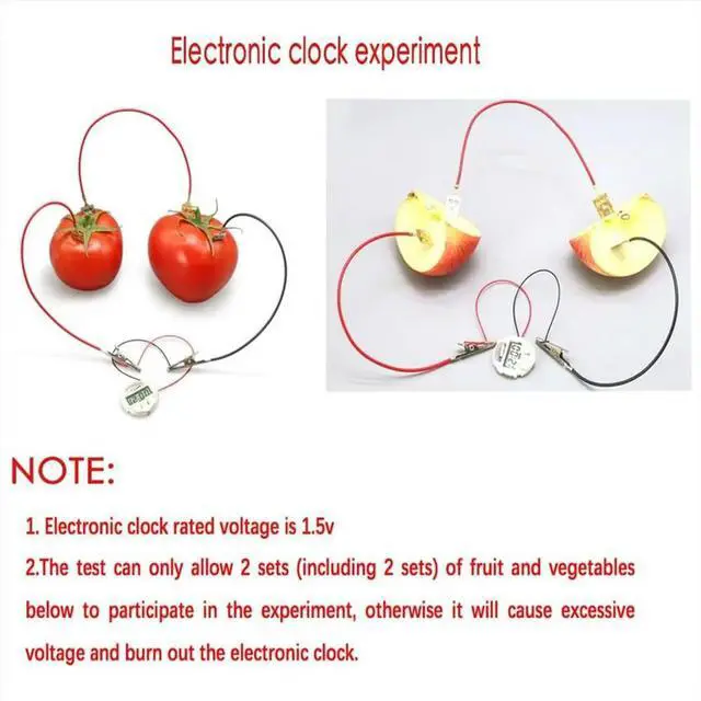 Main image of Fruit Science Experiment Kit for Home Teaching Toy, Lemon Potato Physics Teaching Experiment 3 Sets