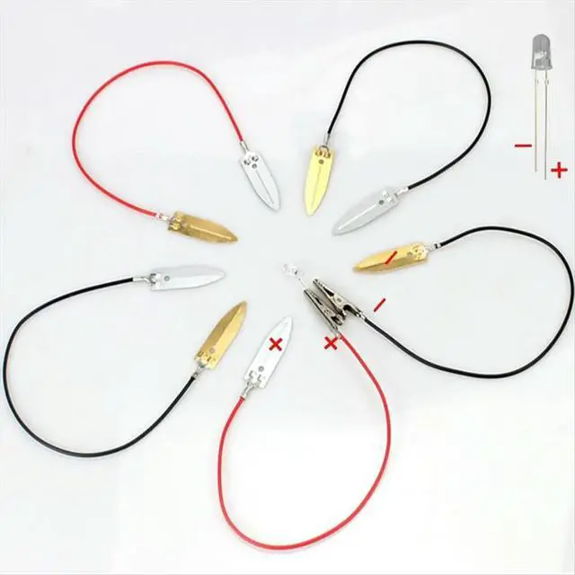 Alt view image 2 of 3 - Fruit Science Experiment Kit for Home Teaching Toy, Lemon Potato Physics Teaching Experiment 3 Sets