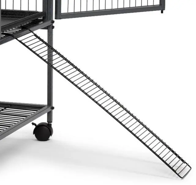 Main image of Ferret Nation Exterior Ramp