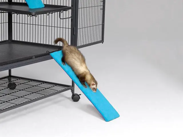 Alt view image 4 of 4 - Ferret Nation Exterior Ramp