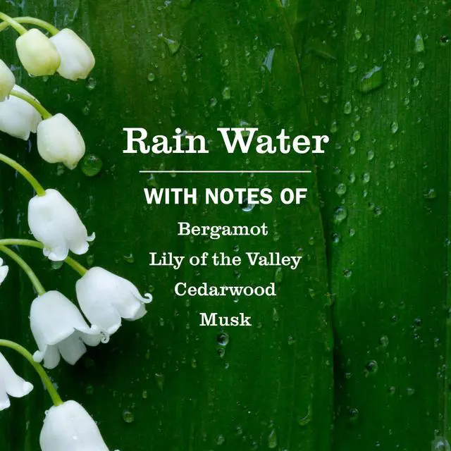 Alt view image 2 of 5 - Mrs. Meyers Clean Day Hand Soap, Rain Water Scent, 12.5 Fl Oz
