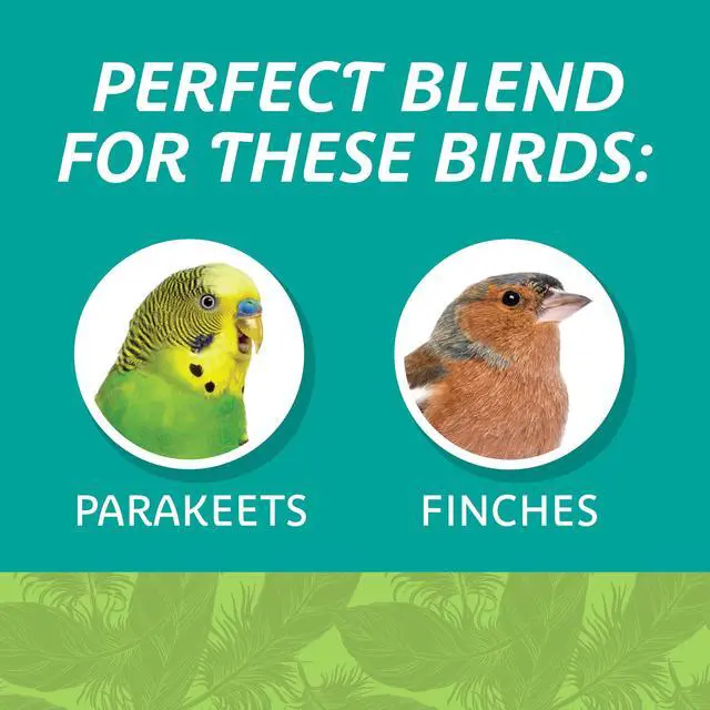 Alt view image 7 of 7 - Pennington Small Breed Everyday Blend Dry Bird Food, for Parakeets, Canaries and Finches; 3 lb. Bag