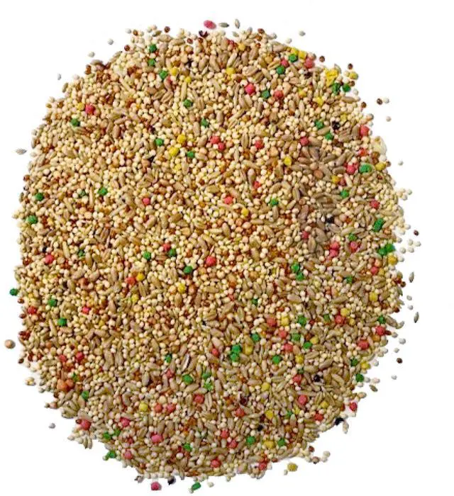 Alt view image 5 of 7 - Pennington Small Breed Everyday Blend Dry Bird Food, for Parakeets, Canaries and Finches; 3 lb. Bag
