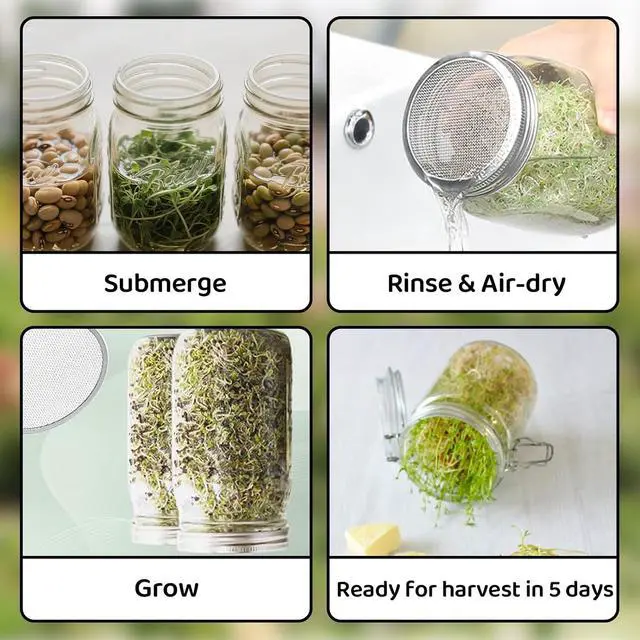 Alt view image 6 of 6 - 6 Pack Seed Sprouting Jar Lids - 304 Stainless Steel Screen Filter Strainer Lid for 82mm / 3.2in Wide Mouth Mason Jars, Mesh Bean Sprout Sieve Lids for Bean, Alfalfa, Broccoli, Lentil & More at Home