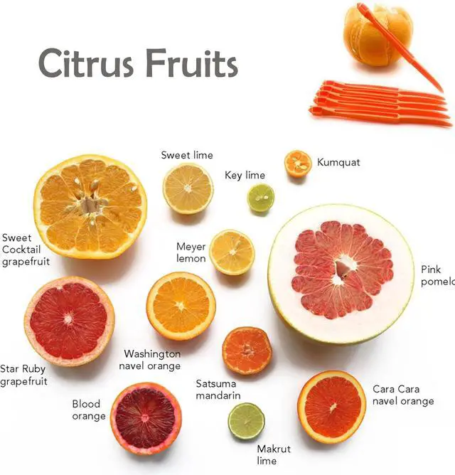 Alt view image 3 of 7 - 7 Orange Peeler Tools Plastic Citrus Fruit Peel Remover lemon Opener Cutter | Safty Plastic Citrus Peeler tool, Curved Blade Faster & Easier to peeling, Kitchen Gadgets Vegetable Slicer Kiwi Tool
