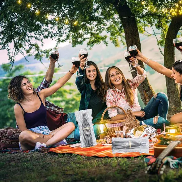 Alt view image 7 of 7 - 20 Pack Wine Bottle Travel Protector Bags with Pump, Reusable | Reusable Pump for Sealing,Protects Wine Bottles from Breakage During Air Travel,Fits Standard 750ml Bottles