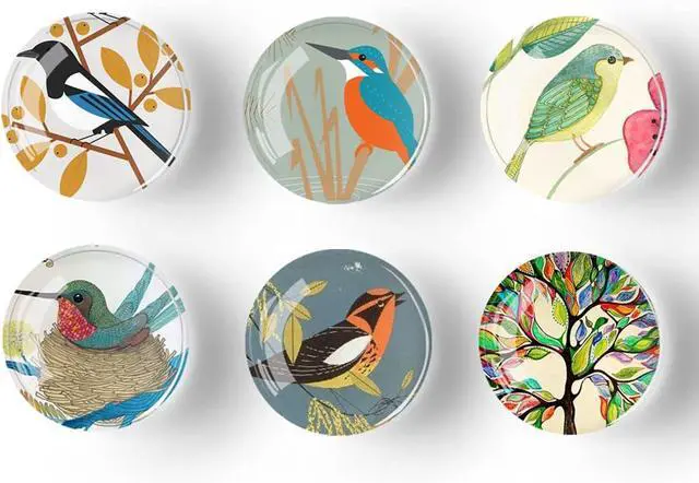 Alt view image 2 of 6 - Bamsod 12 PCS Strong Glass Refrigerator Magnets, Pattern Series for Whiteboard, Office Cabinets, Round Fridge Stickers, Home Kitchen Decor (Bird)