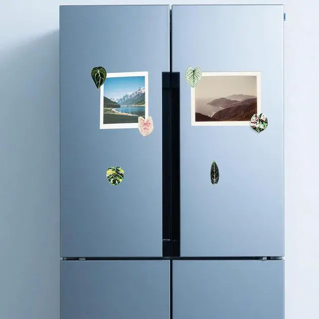 Alt view image 6 of 7 - 12pcs Leaf Shaped Plant Fridge Magnets Plant Lovers Gifts | Decorative Refrigerator Magnets for Kitchen Office School Locker Home Decor, Funny Gift Idea for Housewarming Birthday