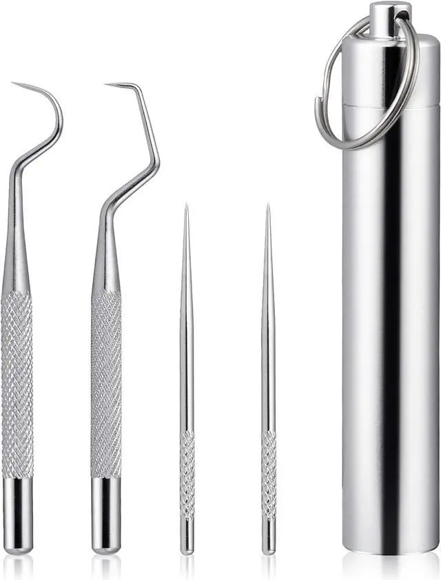 Main image of 5Pcs Portable Dental Picks Metal, Tooth Picks for Kitchen and Travle | 304 Stainless Steel, Portable Key Ring & Sealed Holder, No Pain Deep Clean, for Travel Camping Picnic, Eco Friendly Reusable