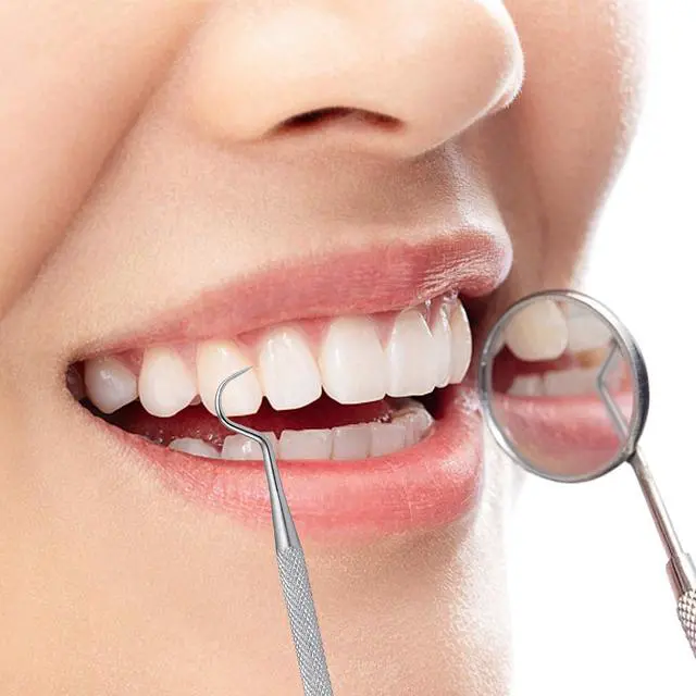 Alt view image 5 of 7 - 5Pcs Portable Dental Picks Metal, Tooth Picks for Kitchen and Travle | 304 Stainless Steel, Portable Key Ring & Sealed Holder, No Pain Deep Clean, for Travel Camping Picnic, Eco Friendly Reusable