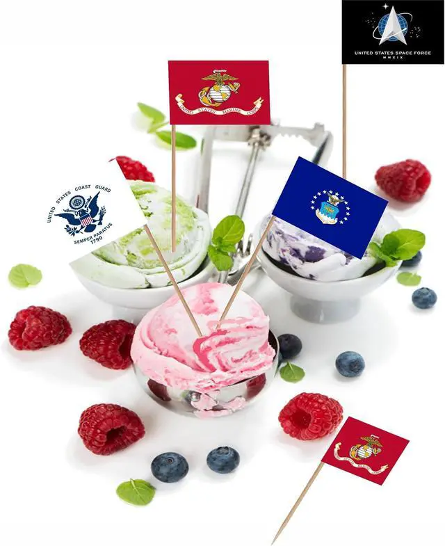Alt view image 5 of 6 - US Military Toothpick Flag Set Army Armed Forces All Branche Small Mini Cocktail Fruit Cupcakes Toppers Food Stick Flags Decorations,100 Pack