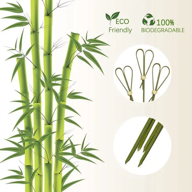 Alt view image 2 of 6 - 100 Pcs Bamboo Cocktail Picks Toothpicks for Appetizers, 4.7 Inch Cyan | Skewers for Appetizers, Charcuterie Accessories, Cocktail Toothpicks, Heart Shaped Bamboo Sticks