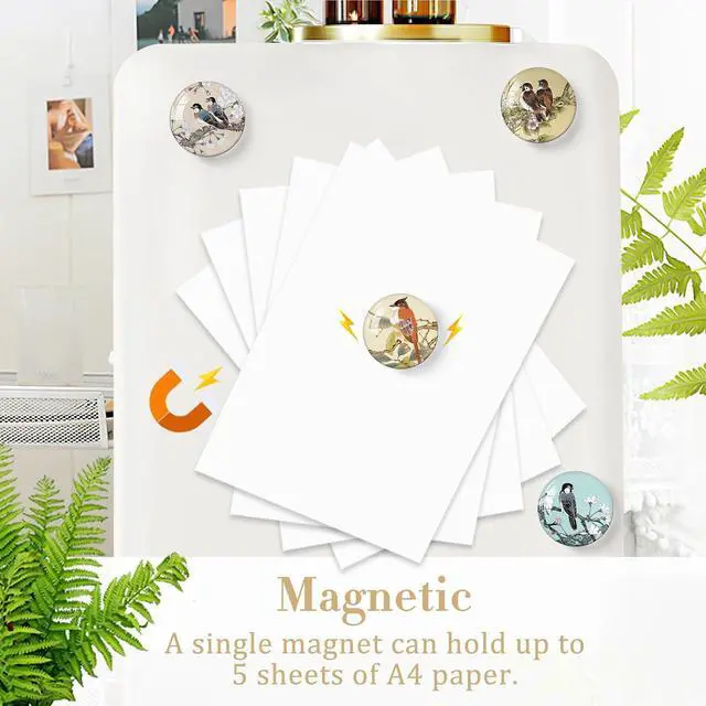 Alt view image 6 of 6 - MORCART 16PCS Bird Fridge Magnets, Cute Decoration for Refrigerator Locker Whiteboard Decorative Magnetic Board Cabinets Classroom Office Cubicle