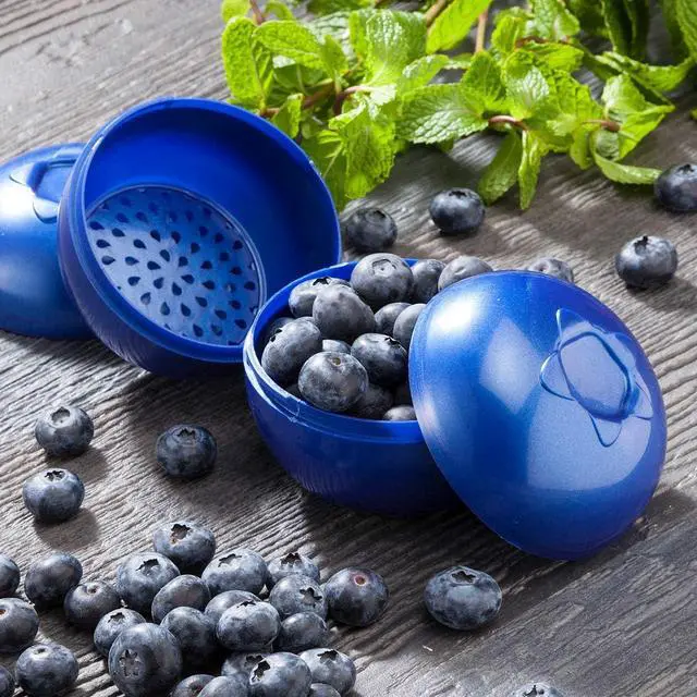 Alt view image 3 of 3 - Hutzler Blueberries To-Go Bento Box