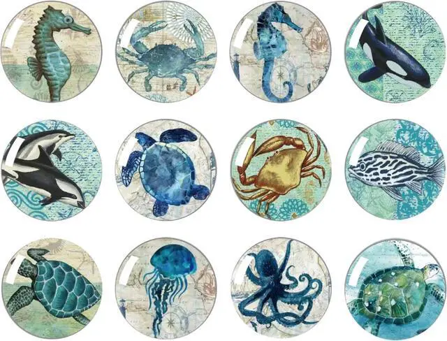 Main image of Strong Glass Refrigerator Stickers,12Pcs Magnets for Fridge,Funny Fridge Magnet Shape,Cute Small Tiny Magnet for Kitchen Whiteboard Door Decorative (Marine Animals Refrigerator Stickers)
