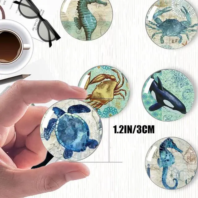 Alt view image 2 of 6 - Strong Glass Refrigerator Stickers,12Pcs Magnets for Fridge,Funny Fridge Magnet Shape,Cute Small Tiny Magnet for Kitchen Whiteboard Door Decorative (Marine Animals Refrigerator Stickers)