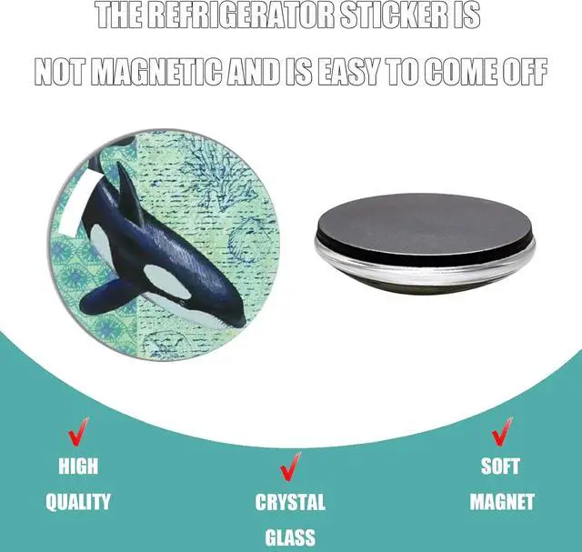Alt view image 3 of 6 - Strong Glass Refrigerator Stickers,12Pcs Magnets for Fridge,Funny Fridge Magnet Shape,Cute Small Tiny Magnet for Kitchen Whiteboard Door Decorative (Marine Animals Refrigerator Stickers)