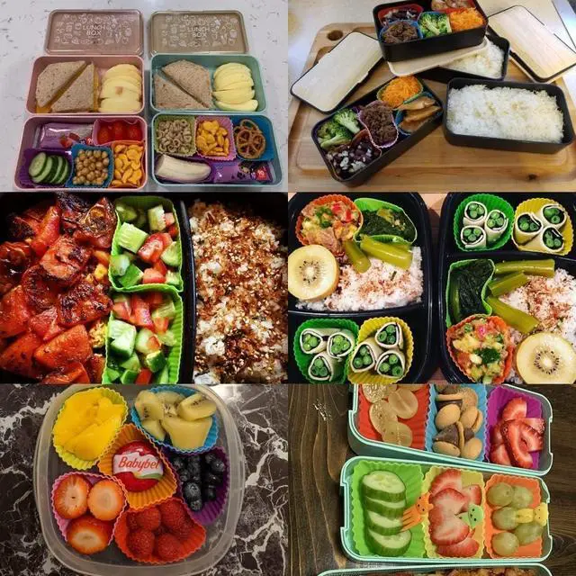 Alt view image 2 of 7 - Silicone Lunch Box Dividers,Back to School Lunch Essentials - 24 pcs Bento Box Dividers with 10 Animal Picks,Lunchbox Supplies Accessories,Cupcake Baking Cups,Muffin Pan Liners,Reusable and BPA Free