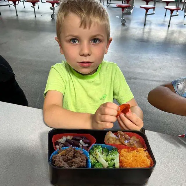 Alt view image 3 of 7 - XANGNIER 40 Pcs Silicone Lunch Box Dividers,Reusable Lunch Bento Box Accessories for Kids,Lunchbox Supplies Accessories,Back to School Lunch Essentials,Silicone Cupcake Liners,Muffin Cups